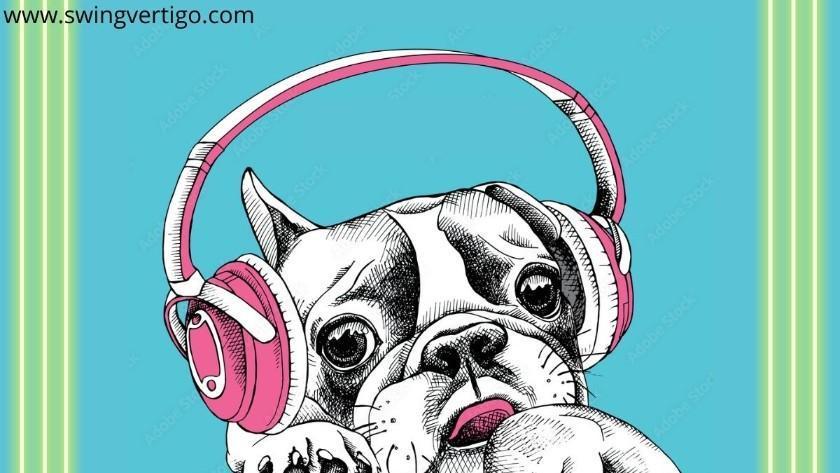 Best Noise Canceling Headphones For Dogs