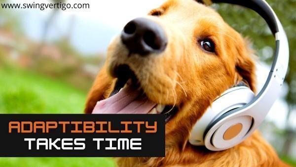 best Noise Canceling Headphones For Dogs